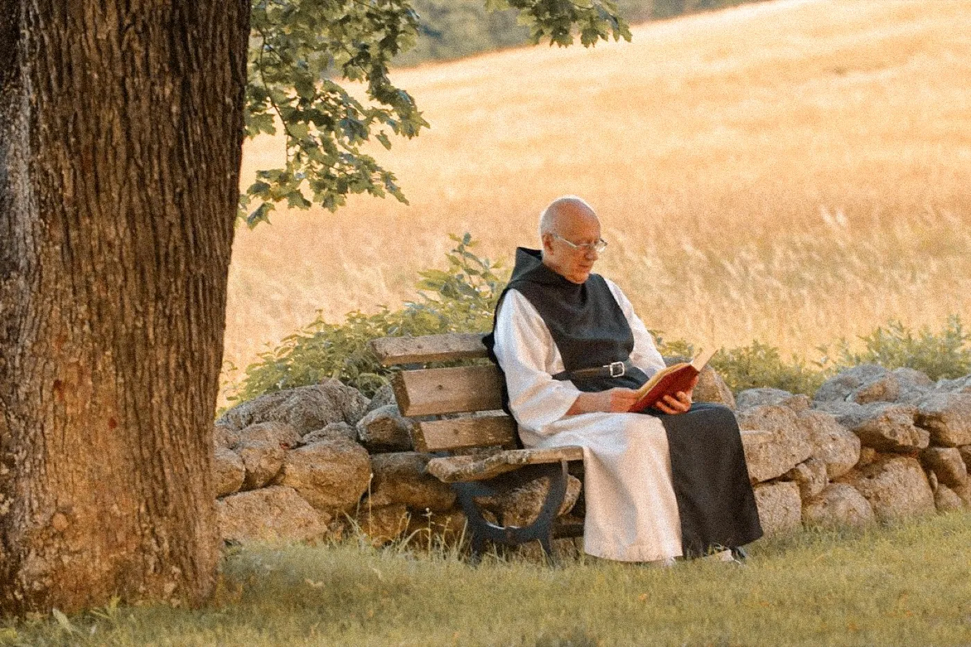 A monk reading alone on a stone bench beneath a tree in an open field.