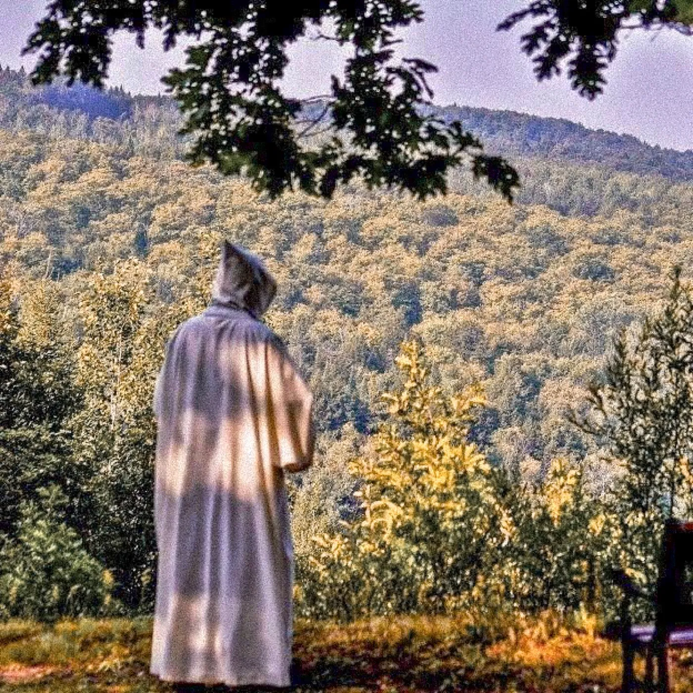 A hooded monk standing alone, looking out over an autumn hillside.